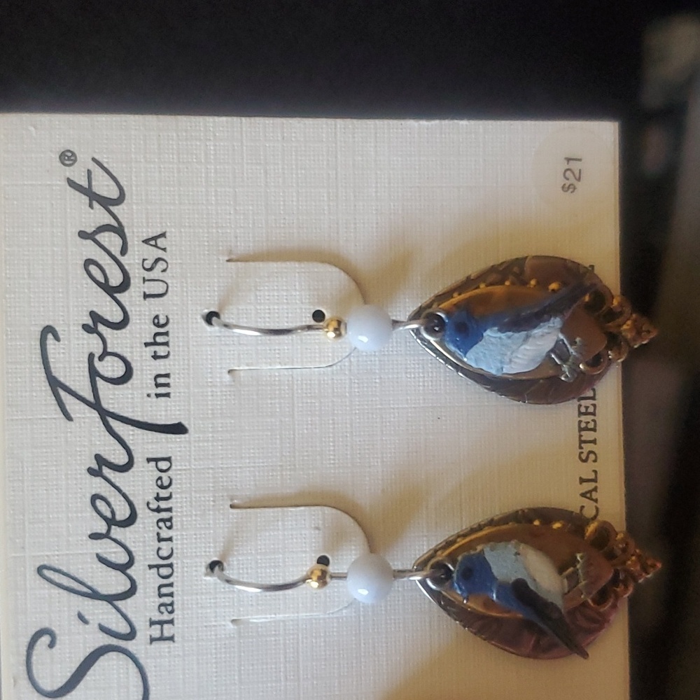 Pierced Earrings